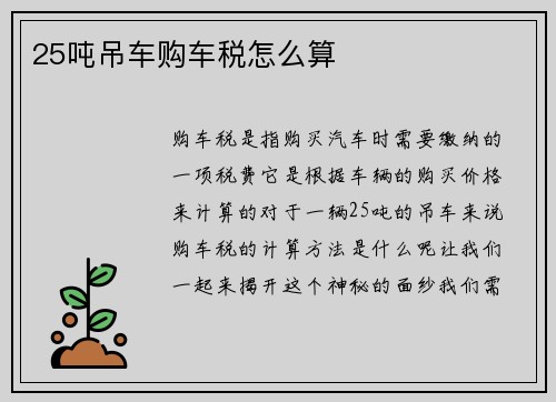 25吨吊车购车税怎么算